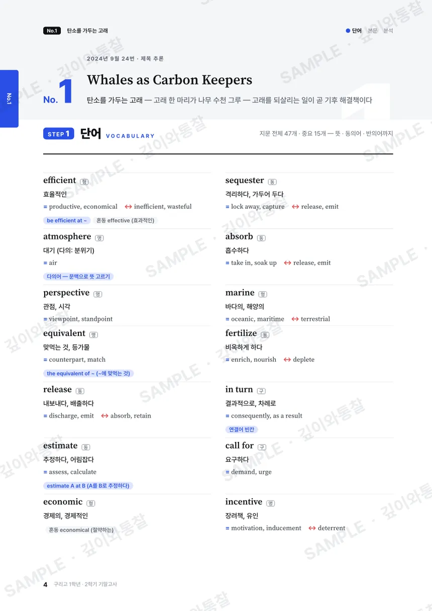 본문 분석 견본 1쪽